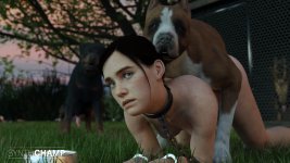 Ellie 1.jpeg