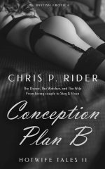 Conception Plan B_ The Donor, The Watcher and the Wife.jpg Conception Plan B_ The Donor, The Watcher and the Wife.jpg