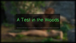 A Test in the woods (1).jpg