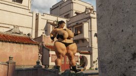 12.jpg