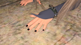 2-14.png