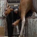 thenewnaughtynun0466bb92f79f978.jpg