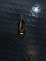 22.png