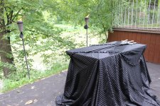 IMG_7007.JPG