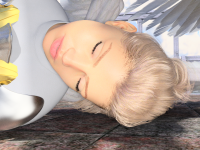 2_3.png