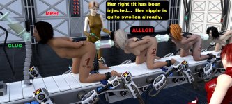 285.jpg