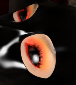 12_23.png