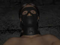 17_6.png