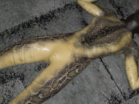 17_16.png