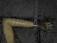 17_21.png