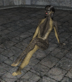 17_29.png