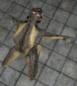 18_7.png