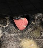 18_8.png