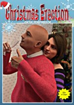 ChristmasErection-001.jpg