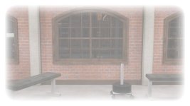 Futanari Weight Loss Program (90)_ergebnis.jpg