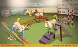 Agility Competition 04.jpg