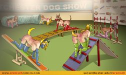 Agility Competition 06.jpg