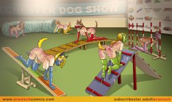 Agility Competition 08.jpg