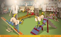 Agility Competition 10.jpg