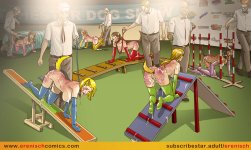 Agility Competition 15.jpg