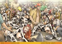 Dairy farm 04.jpg