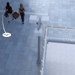 136.JPG