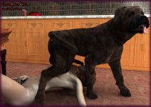 Feeding Dog_08.jpg