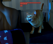 ph09-p23-6.png
