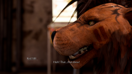 19.png