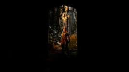 5.png