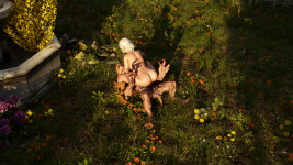 31.png