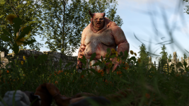 50.png