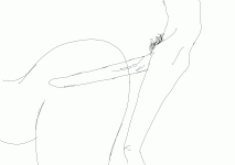 IMG_0893.gif