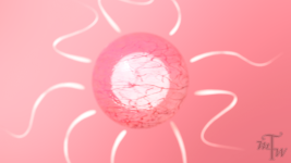 69.png