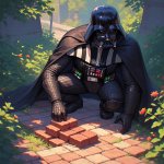 Darth_Vader_stands_on_one_knee (1).jpeg