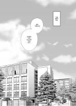 40.webp