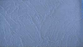 1598008277.gif