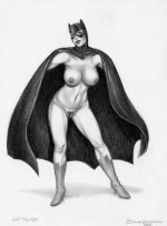 batflash.jpg batflash.jpg