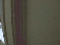 907571508.gif