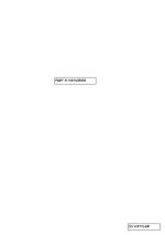 Fitness Trainer-27.jpg