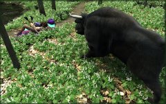 The Bull_11.jpg