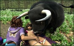The Bull_14.jpg