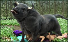 The Bull_31.jpg