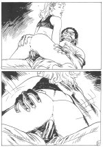cc_fl_dv08.jpg