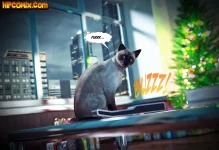 AV_FFG158.webp