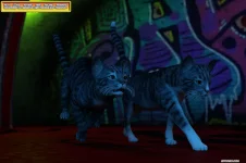 bg_mi_05x005.webp