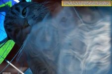 bg_mi_05x007.webp