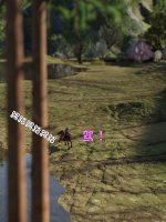 translated-040.jpg
