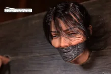 IQ_SC_07x045.webp
