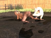 mud_dee_pig_cum.jpg